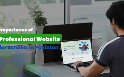 Importance of Professional Website for Schools in Pakistan